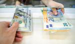 Dolar odzyskuje siły. Złoty czeka na decyzję RPP