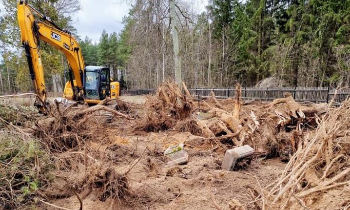 1,9 mln zł kary dla parafii za nielegalne wycięcie 269 drzew