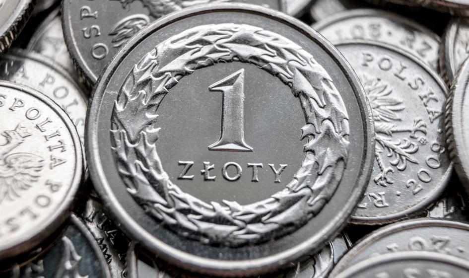 Tower Investments wypłaci 1 zł dywidendy na akcję