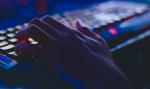 Polska staje się informatycznym zagłębiem Europy