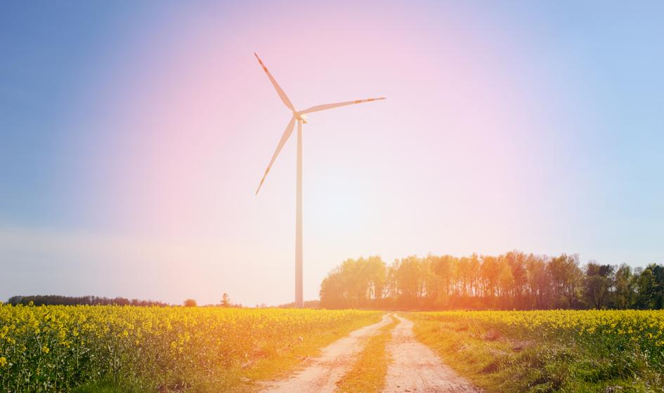 NWZ Polenergii zdecydowało o zmianach w statucie spółki