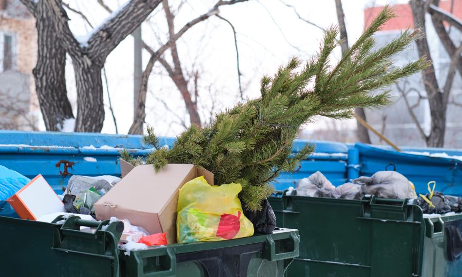 Polacy w święta generują znacznie więcej odpadów niż zwykle. To może pomóc z ich segregacją