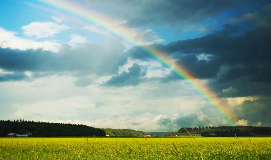 Rainbow Tours: prawie 966 mln złotych przychodów