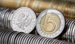 Dzięki obniżce składek ZUS małe firmy zaoszczędzą 15 mld zł w 10 lat