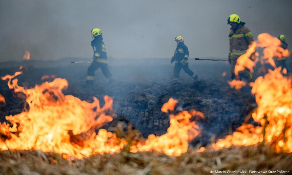 Kluby za zaostrzeniem kar za podpalenia. Oprócz Konfederacji
