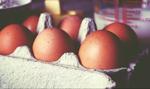 Rosyjskie służby ostrzegły producentów jaj, by nie podnosili cen przed Wielkanocą