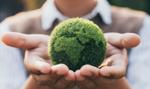 Wyśrubowane cele polityki klimatycznej. "Za mało środków i za dużo obciążeń"