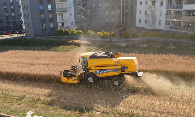 Słynne pole między blokami w Lublinie na sprzedaż. Rolnik zdecydował, cena powala