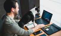 Banki mogą wyłączyć serwis na PC. Większość klientów tego nie zauważy
