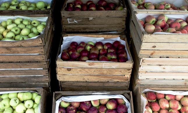 Produkcja jabłek i gruszek w UE zagrożona