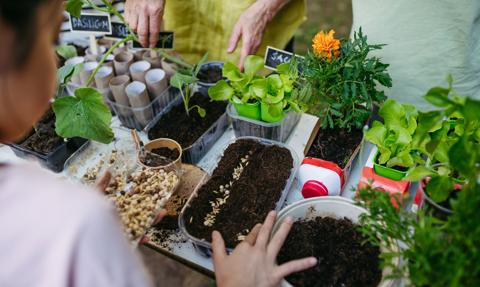 Naturalis zakończyło projekt ARISE. Skatalagowane gatunki będzie monitorowała AI
