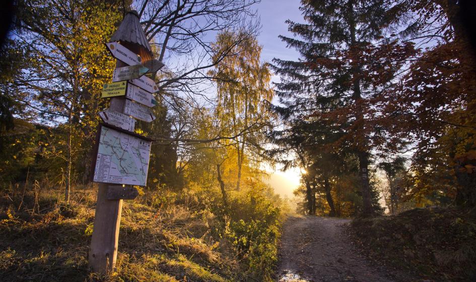 NIK: środki z budżetu dla parków narodowych nie wystarczyły nawet na pokrycie wynagrodzeń