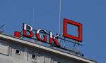 BGK ułatwia dostęp do gwarancji de minimis