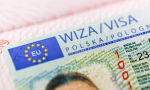 Akty oskarżenia w "aferze wizowej" dla byłego kierownictwa MSZ i Edgara K.