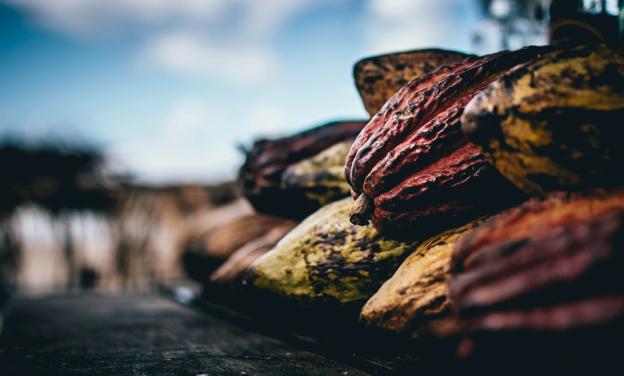 Pękniecie bańki na kakao uratowało wyniki. Najwięcej jednak dały zarobić polskie akcje