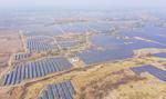 Potentat węglowy buduje gigafotowoltaiczną farmę za miliardy dolarów. Jest widoczna z kosmosu