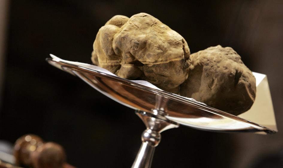Cena trufli mocno w dół. Winna pogoda