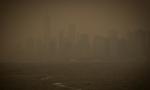 Pył zakrywa Nowy Jork. To skutek pożarów 4 mln hektarów lasów