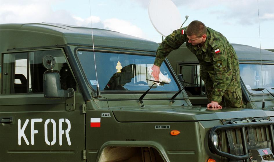 Polski tarpan dla ukraińskiej armii