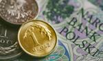 Pekabex wypłaci 0,41 zł dywidendy na akcję
