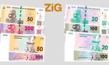 Zimbabwe wprowadza nową walutę, ale dolar nadal mocno się tam trzyma