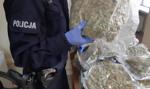 Zamiast ubrań z Kanady – marihuana. KAS przejęła paczki warte ponad milion złotych