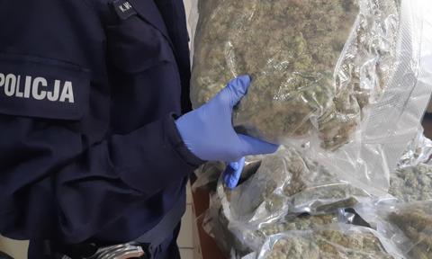 5 lat więzienia za 40 kg marihuany. Brytyjscy "turyści" skazani