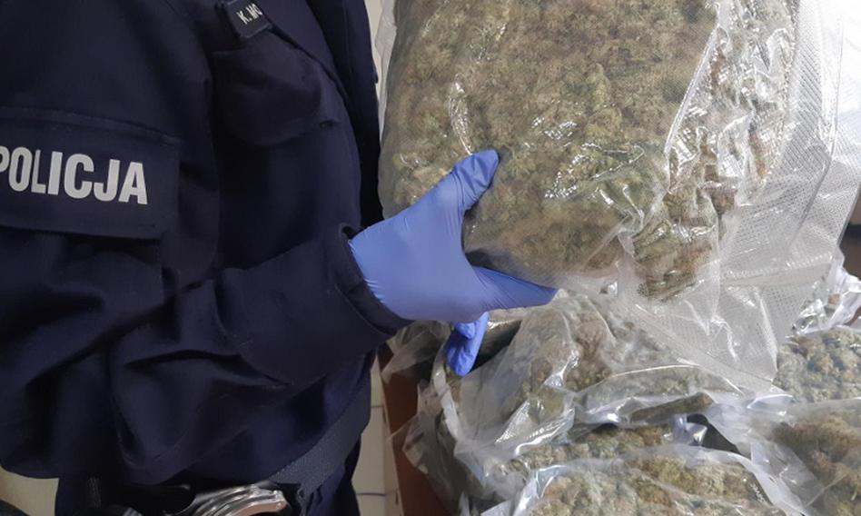 5 lat więzienia za 40 kg marihuany. Brytyjscy "turyści" skazani