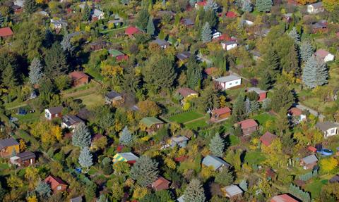 Lato na ROD-os? Tyle kosztują ogródki działkowe po sezonie