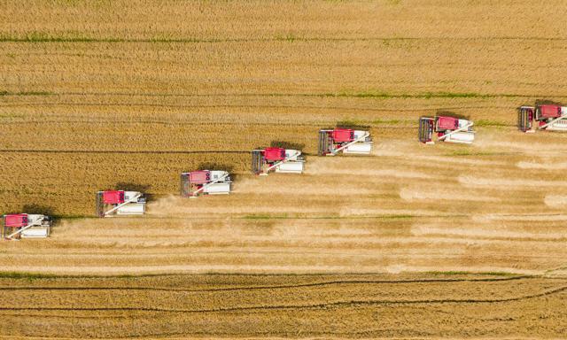 Dywidendowe żniwa zbiorą miliardy i wysokie stopy. Koniec energetycznej suszy