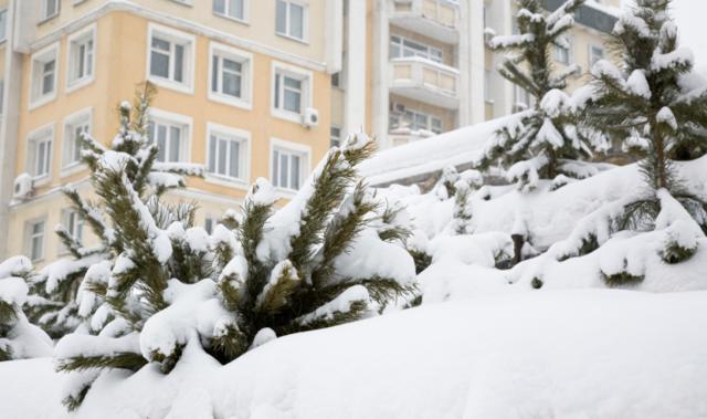 Rosja walczy ze śniegiem i mrozami