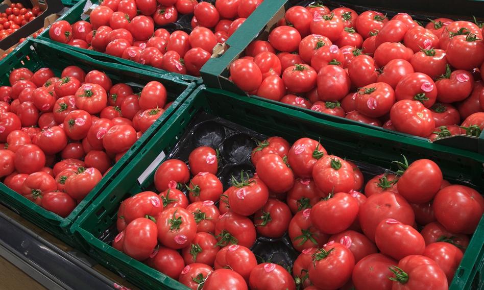 Meksykańskie pomidory na cenzurowanym. USA wprowadziły kolejne cła