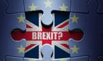 Brexit – nie taki diabeł straszny, jak go malują