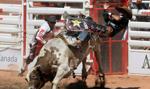 Rodeo w spółkach Skarbu Państwa trwa. PiS wymienia swoich na swojszych