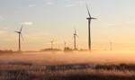 Zbyt drogi kapitał podstawia nogę rozwojowi polskiej energetyki wiatrowej