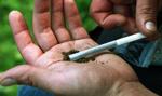 Legalizacja marihuany w Belgii przyniosłaby budżetowi 144 mln euro