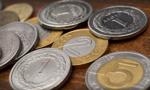 Polwax szacuje, że w '19 obroty z Jeronimo Martins wyniosą ok. 65 mln zł