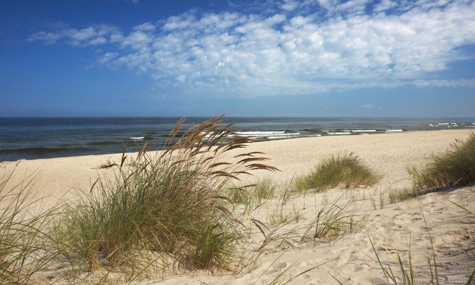 Nawet 5 tys. zł kary za zaśmiecanie plaż i lasów. Wiceminister zapowiada zmiany