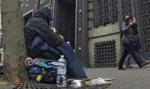 Francja: co dziesiąty bezdomny ma dyplom wyższej uczelni