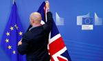 UE zgodzi się na opóźnienie brexitu do 31 stycznia?