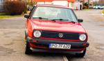 Golf wrócił na tron w pełnych komisach. Tyle kosztują najpopularniejsze benzyniaki i diesle