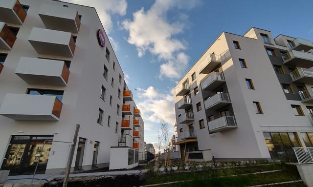 Możliwa kradzież danych od największego dewelopera. Numery PESEL, adresy, numery rachunków zagrożone wyciekiem