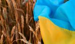 USA przeznaczą 68 mln dolarów na zakup 150 tys. ton pszenicy z Ukrainy