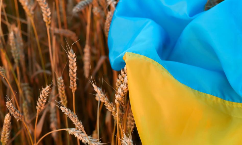 Ukraiński gigant zniknie z GPW? Jest wezwanie na przecenione akcje Kernela