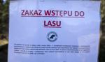 Myśliwi także nie wejdą do lasu. Resort wyjaśnia