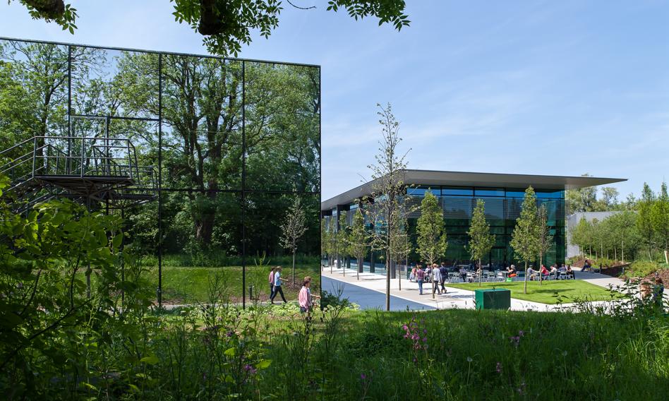 Światowy gigant AGD zwalnia. &quot;W Wielkiej Brytanii obowiązuje żałosna polityka&quot;