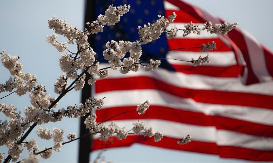 Przedstawiciel władz USA nieprzychylny pomysłowi strącania rosyjskich rakiet przez NATO