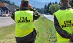 Ukryci w transporcie torfu. Straż Graniczna rozbiła kolejny przemyt 
