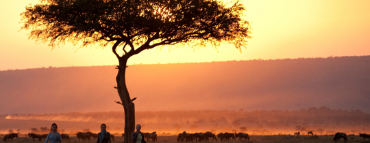 darmowe randki kenya.com