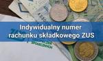 Indywidualny numer konta ZUS – wszystkie składki jednym przelewem!